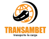 TRANSAMBET logo